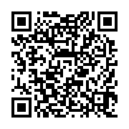 QR code for YAP310