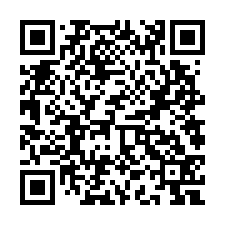 QR code for YAV733