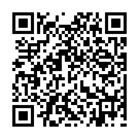 QR code for YBV338