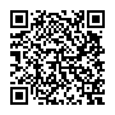QR code for YBZ411