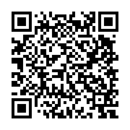 QR code for YBZ493