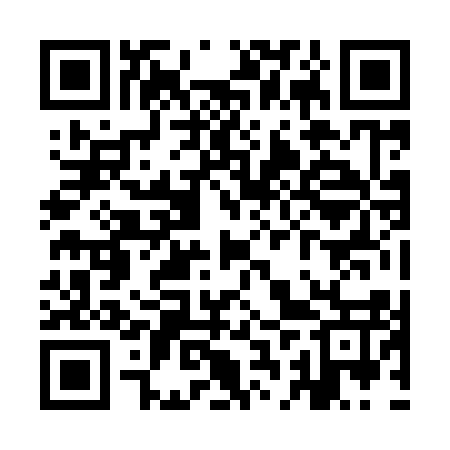 QR code for YBZ917