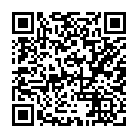 QR code for YDM993