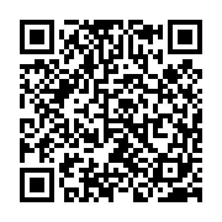QR code for YFA461