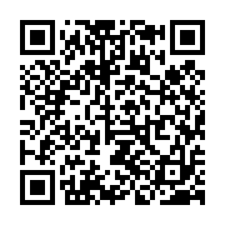 QR code for YFM413