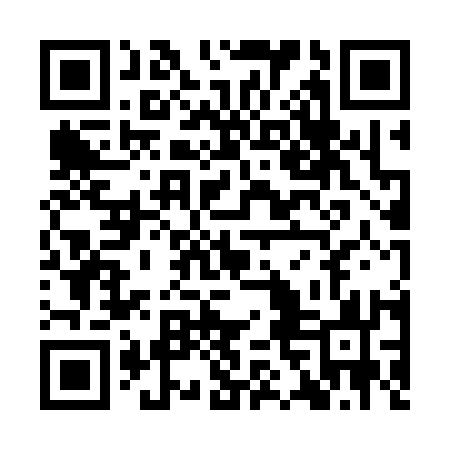 QR code for YFO313