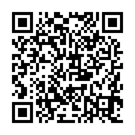 QR code for YFP991