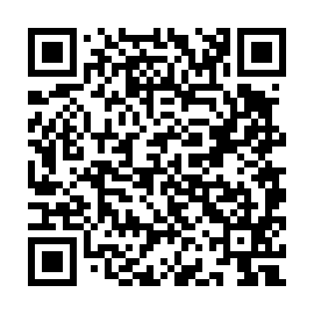 QR code for YFV495