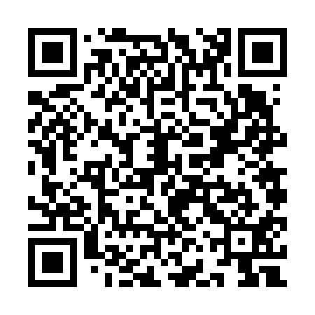 QR code for YFV611