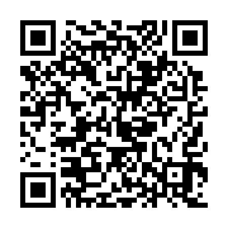 QR code for YHP313