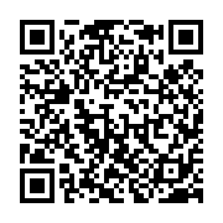QR code for YIF411