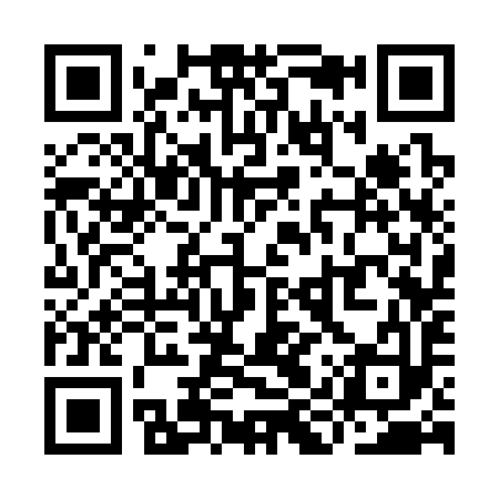 QR code for YIS393