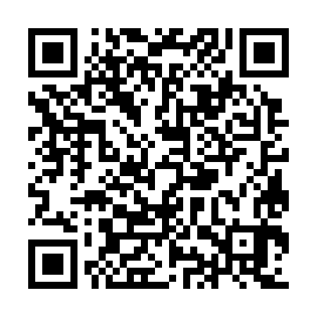 QR code for YIW383