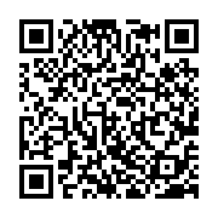 QR code for YLL219