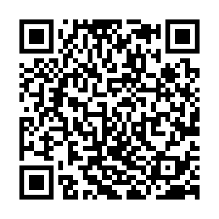 QR code for YLL339