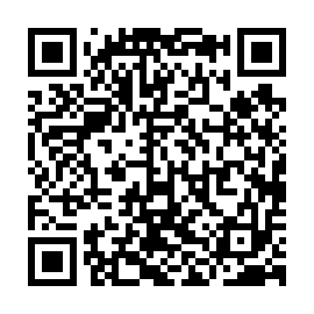 QR code for YLP613