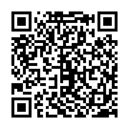 QR code for YLR233