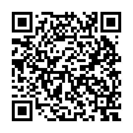 QR code for YLS293