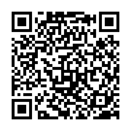 QR code for YLU221