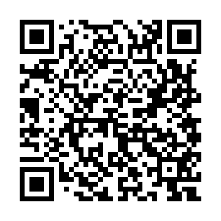 QR code for YLV951