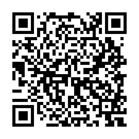 QR code for YLX381