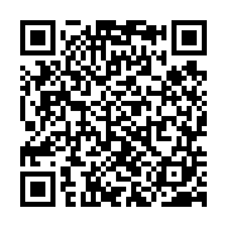 QR code for YMO641
