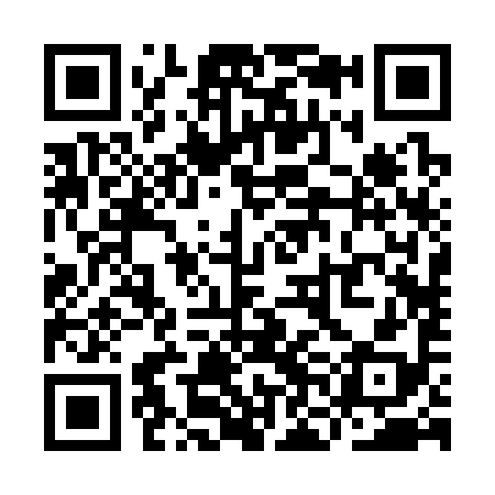 QR code for YNB398