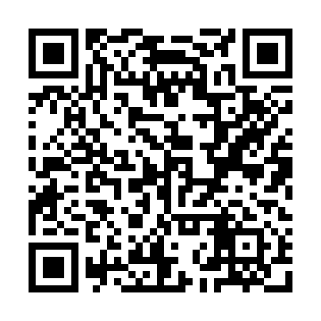 QR code for YNX311
