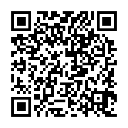 QR code for YPL381