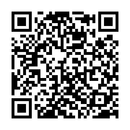 QR code for YPM509