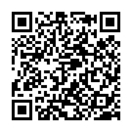 QR code for YSF439