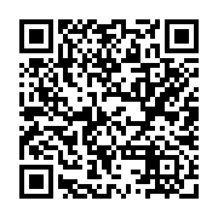 QR code for YSG393