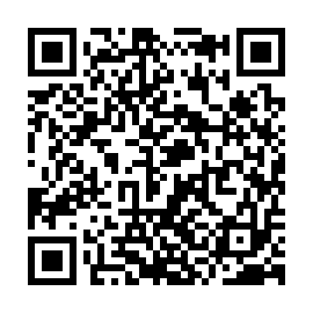 QR code for YSI313