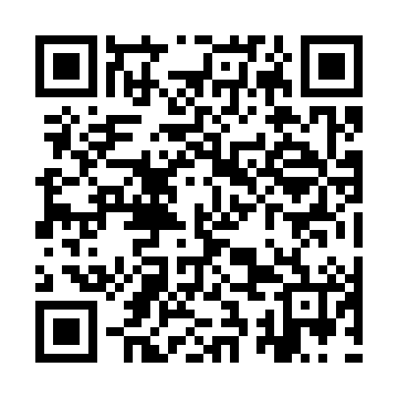 QR code for YSJ386