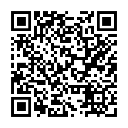QR code for YSP369