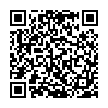 QR code for YSV153
