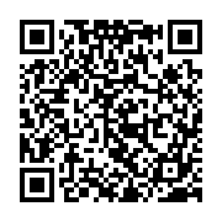 QR code for YSV377