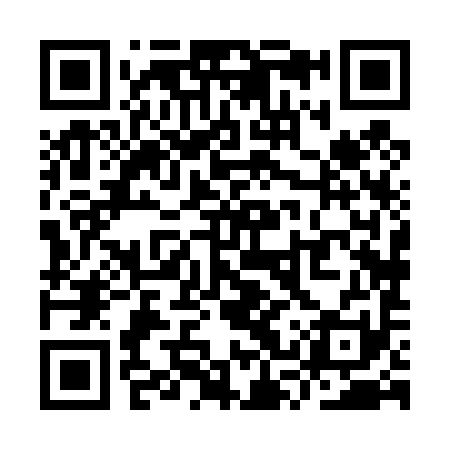 QR code for YSX491