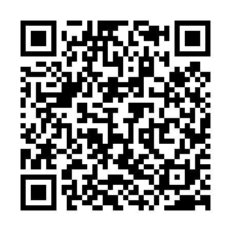 QR code for YTF411