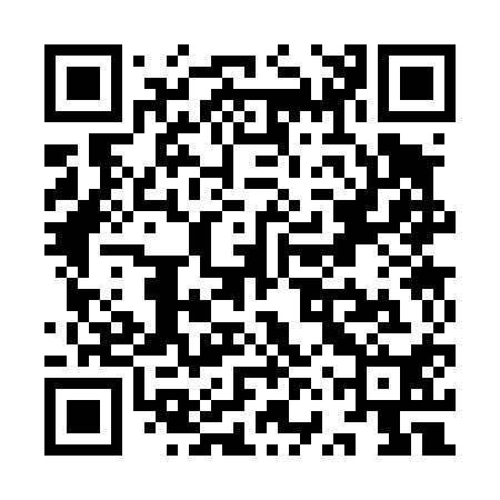 QR code for YVS410