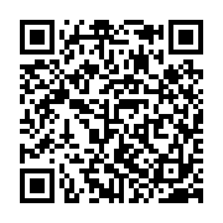 QR code for YXS233