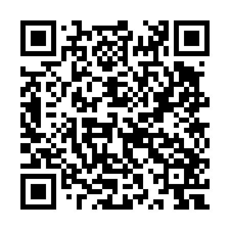 QR code for YXS446