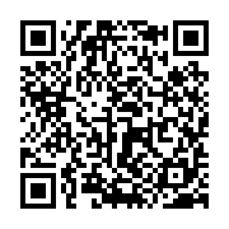 QR code for YYK295