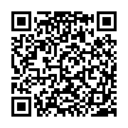QR code for YYR273