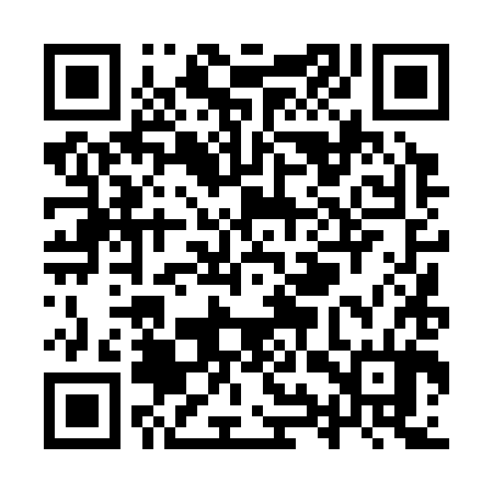 QR code for YYT384