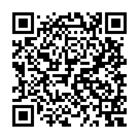 QR code for YYZ591