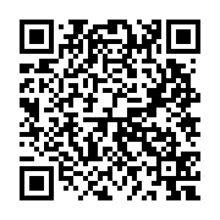 QR code for YYZ735
