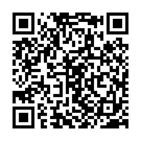 QR code for YZB233