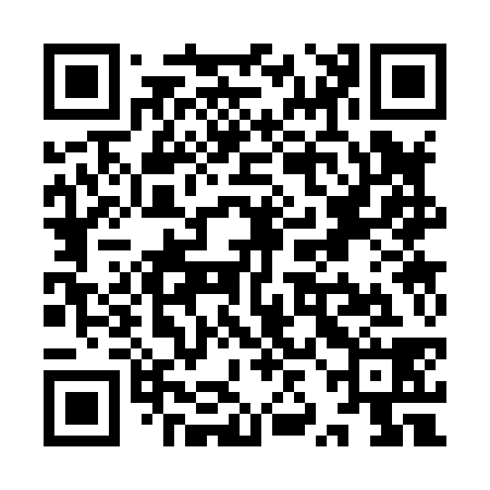 QR code for YZC838