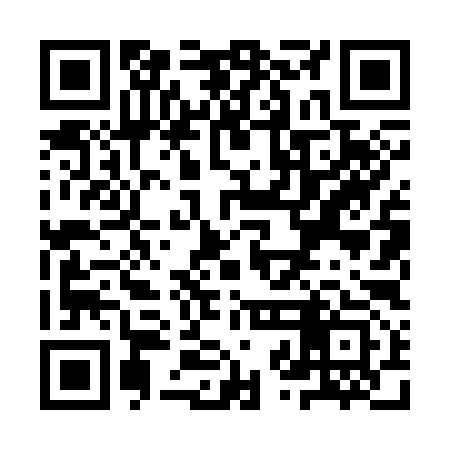 QR code for YZL393